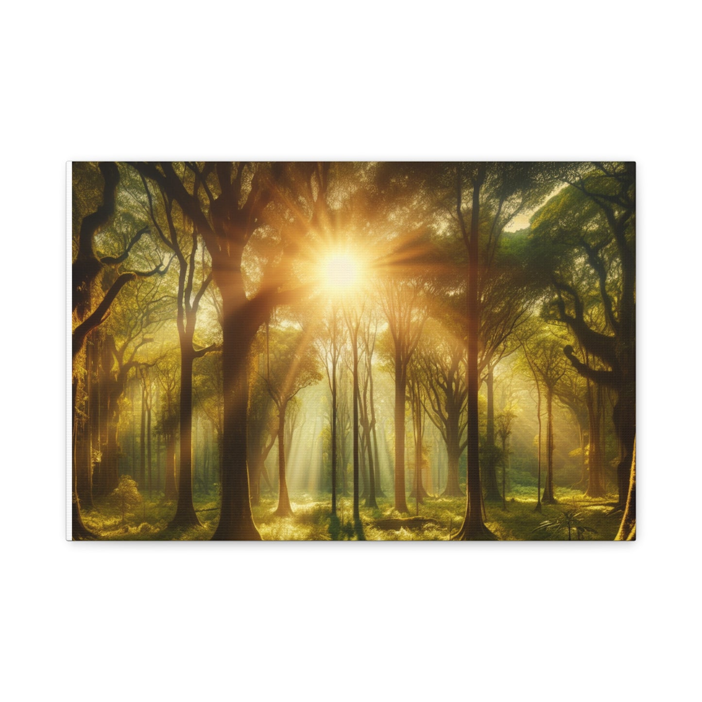 Serene Forest Matte Canvas Art - 1.25" Stretched Wall Decor