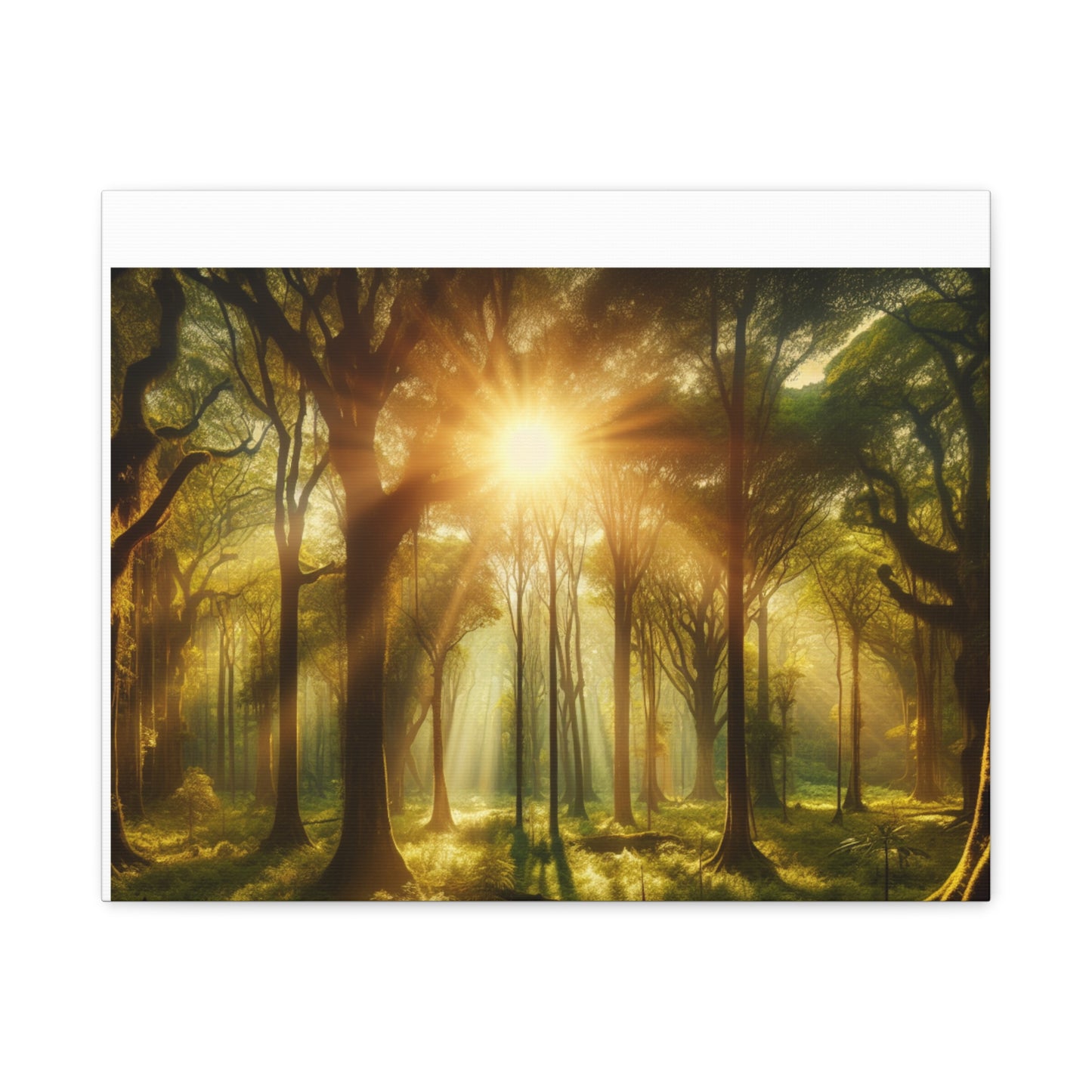 Serene Forest Matte Canvas Art - 1.25" Stretched Wall Decor