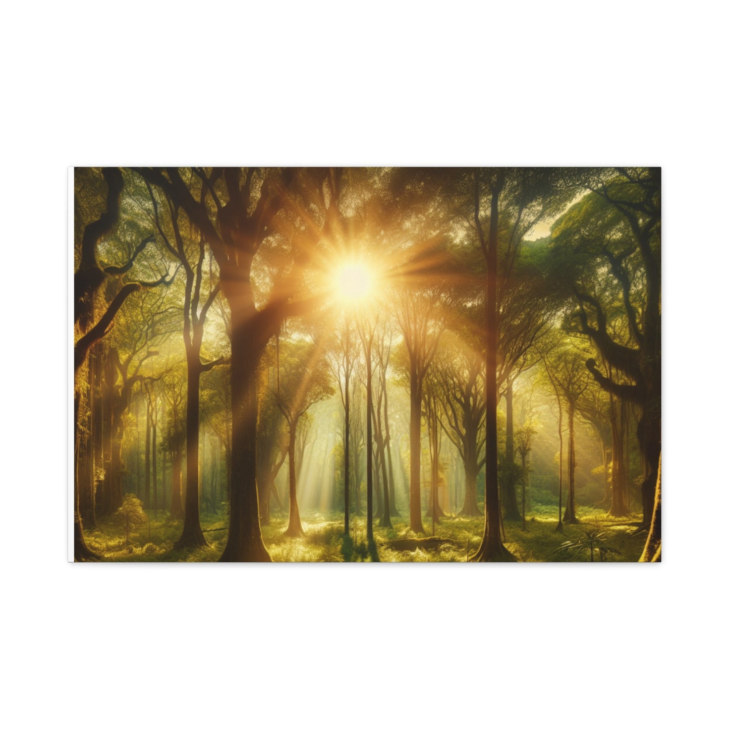 Serene Forest Matte Canvas Art - 1.25" Stretched Wall Decor
