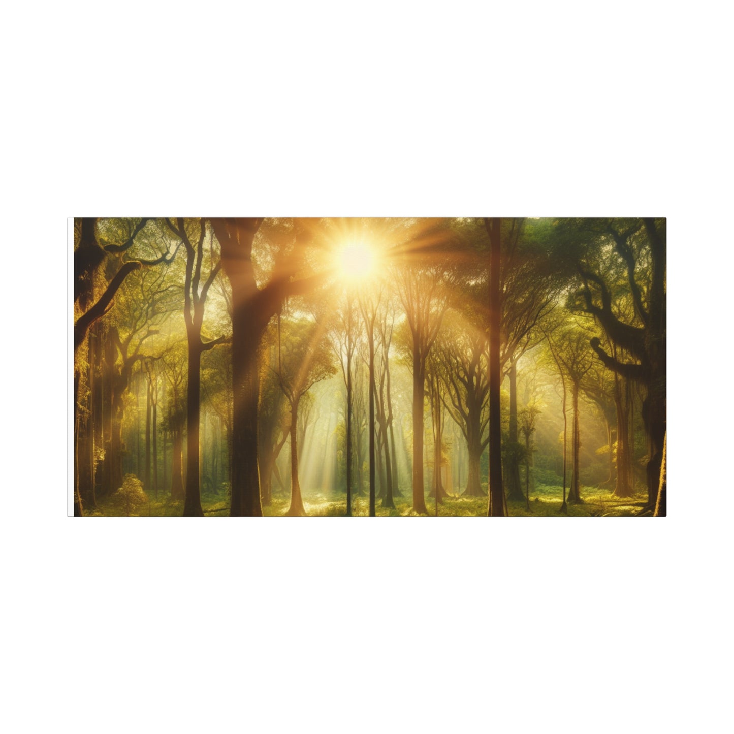Serene Forest Matte Canvas Art - 1.25" Stretched Wall Decor