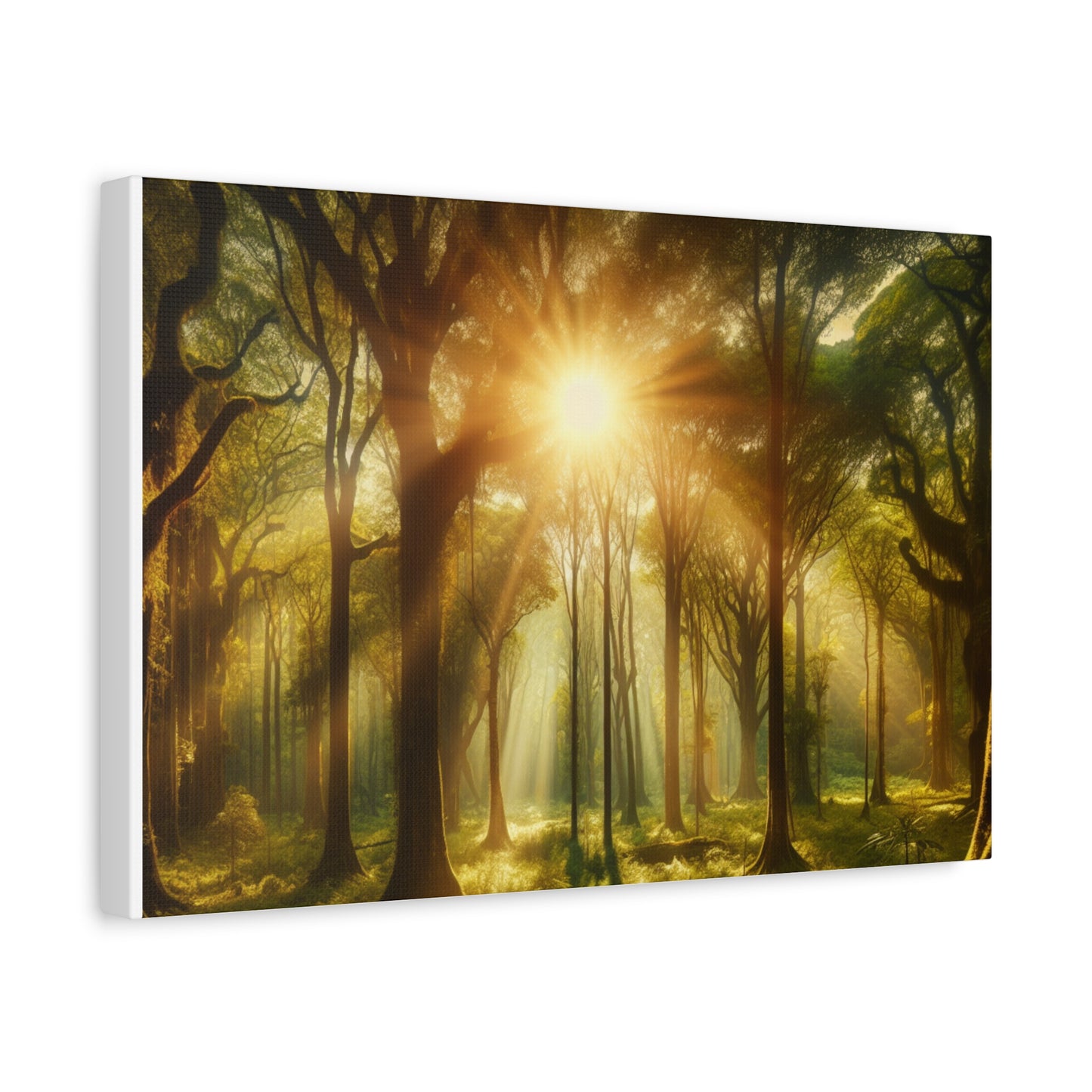 Serene Forest Matte Canvas Art - 1.25" Stretched Wall Decor