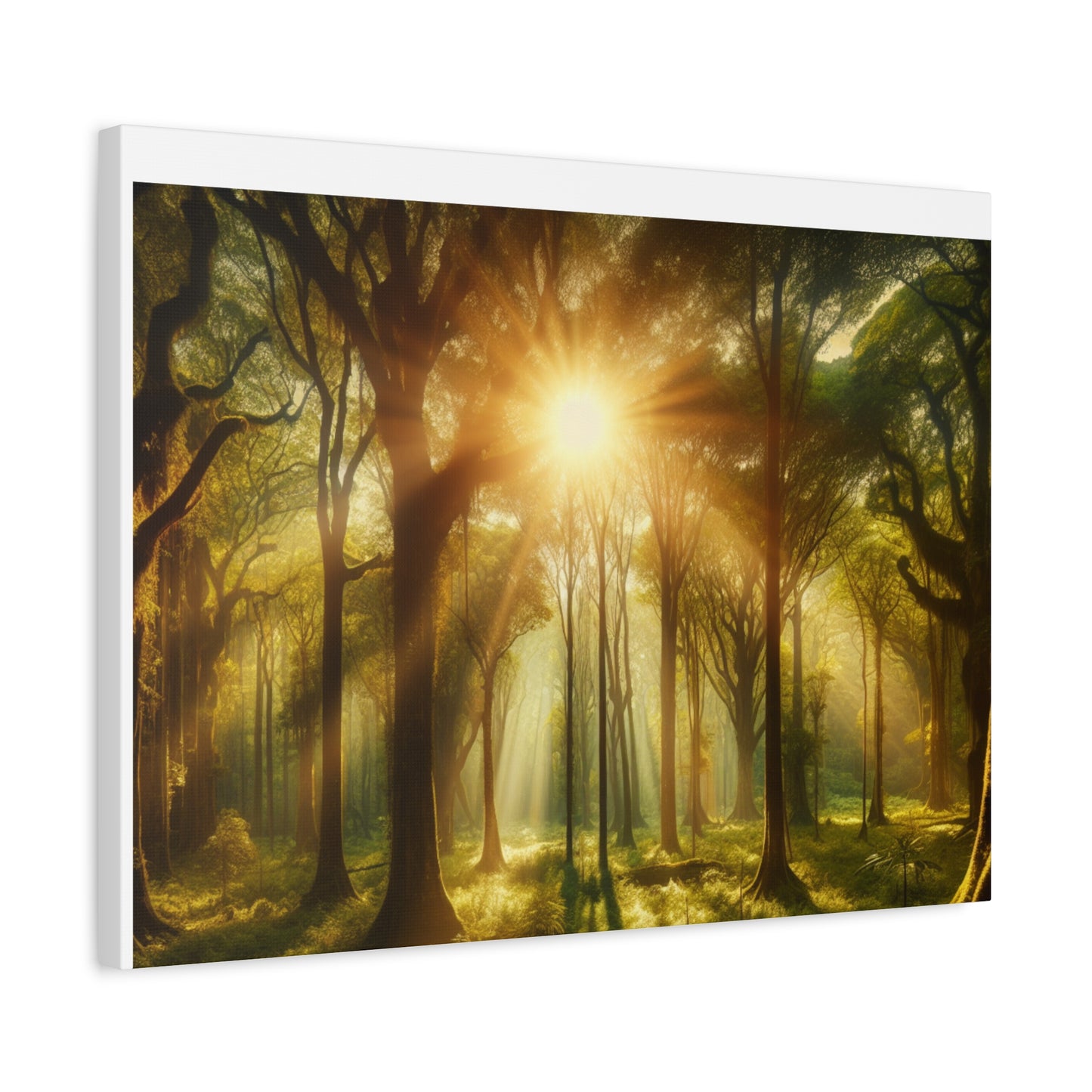 Serene Forest Matte Canvas Art - 1.25" Stretched Wall Decor
