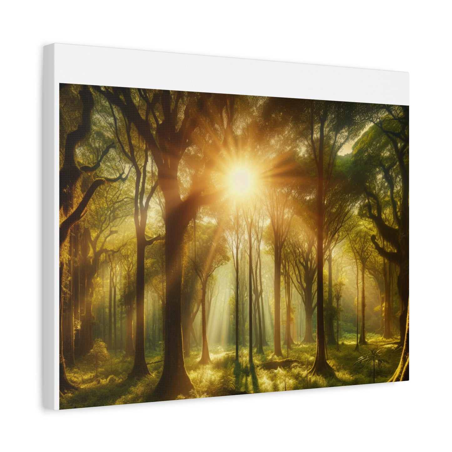 Serene Forest Matte Canvas Art - 1.25" Stretched Wall Decor