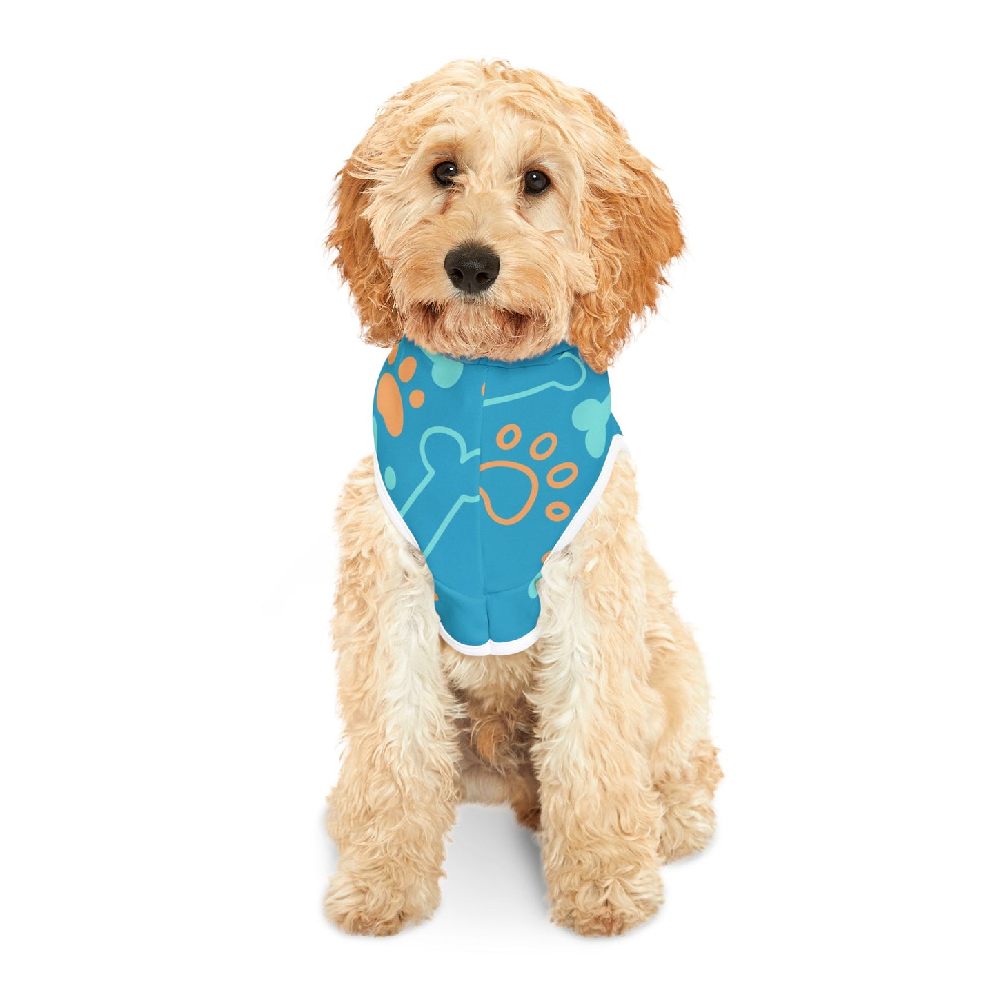 Pet Hoodie