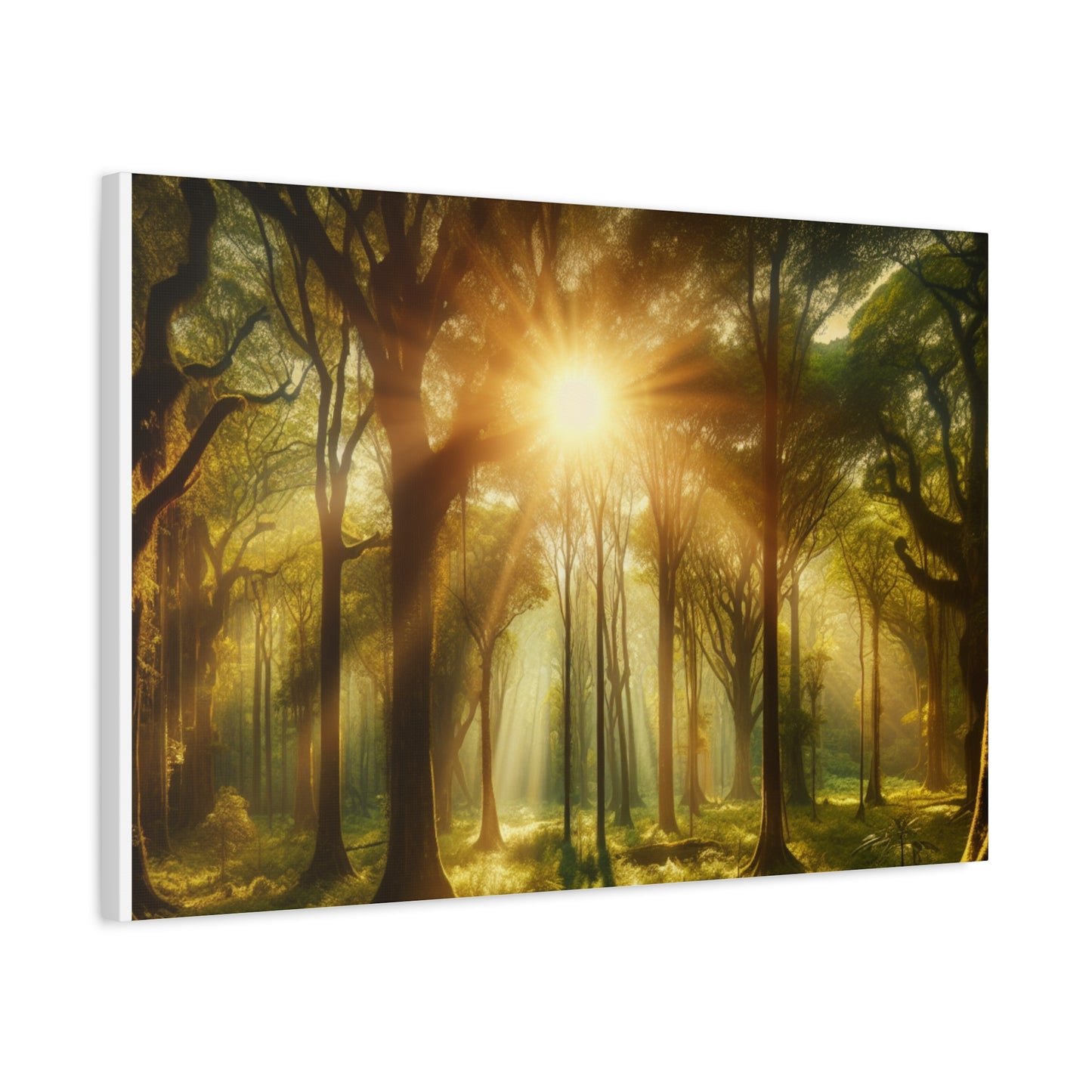 Serene Forest Matte Canvas Art - 1.25" Stretched Wall Decor
