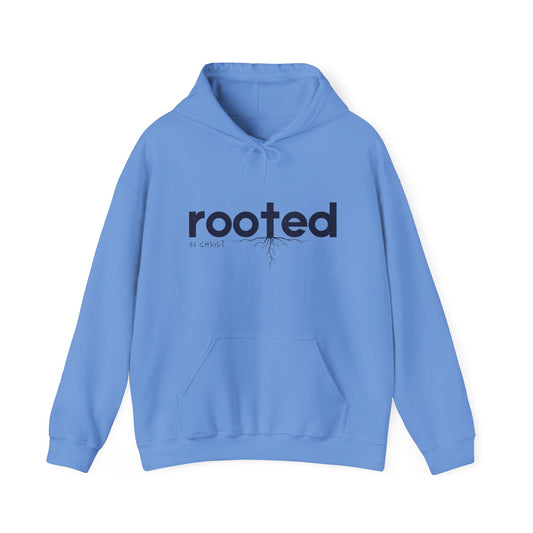 Copy of Copy of Copy of Minimalist Art Hooded Sweatshirt - Unisex Heavy Blend™