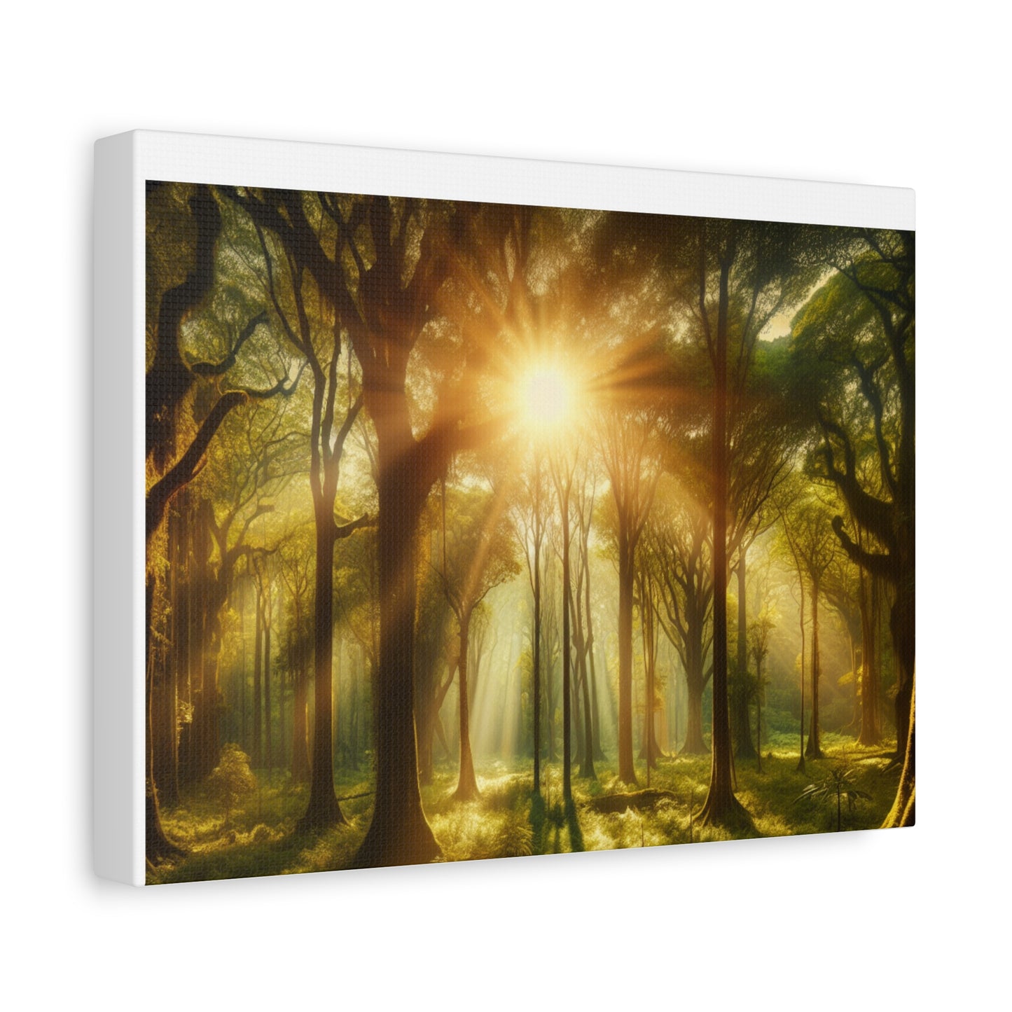 Serene Forest Matte Canvas Art - 1.25" Stretched Wall Decor